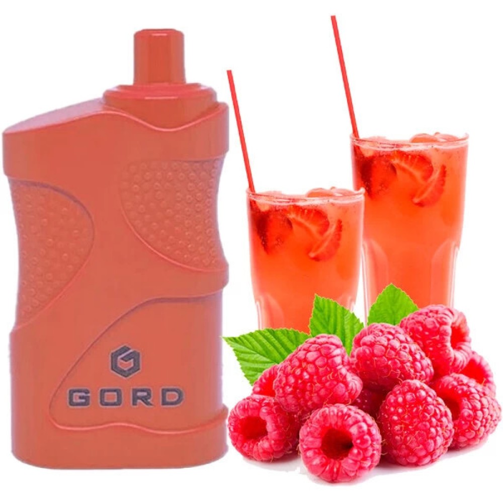 Jednorazowy papieros elektroniczny GORD Raspberry Mojito (Raspberry Mojito) (4000 zaciągnięć)
