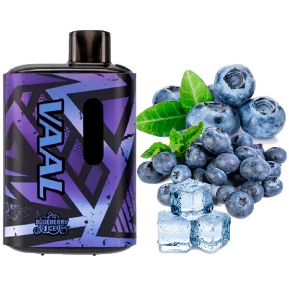 Jednorazowy papieros elektroniczny VAAL Blueberry Ice (E5000 Puffs)