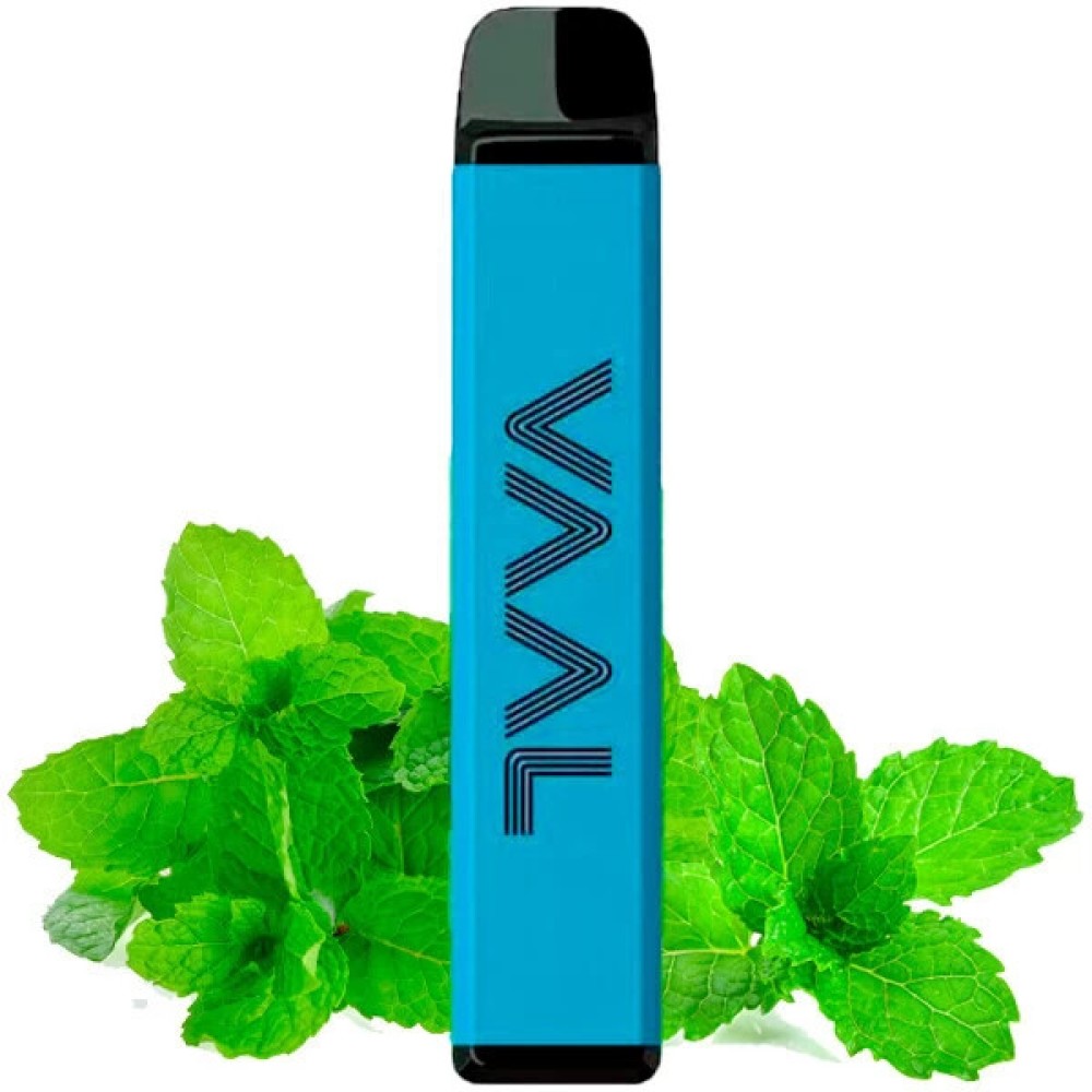 Jednorazowy papieros elektroniczny VAAL Mint (4000M zaciągnięć)