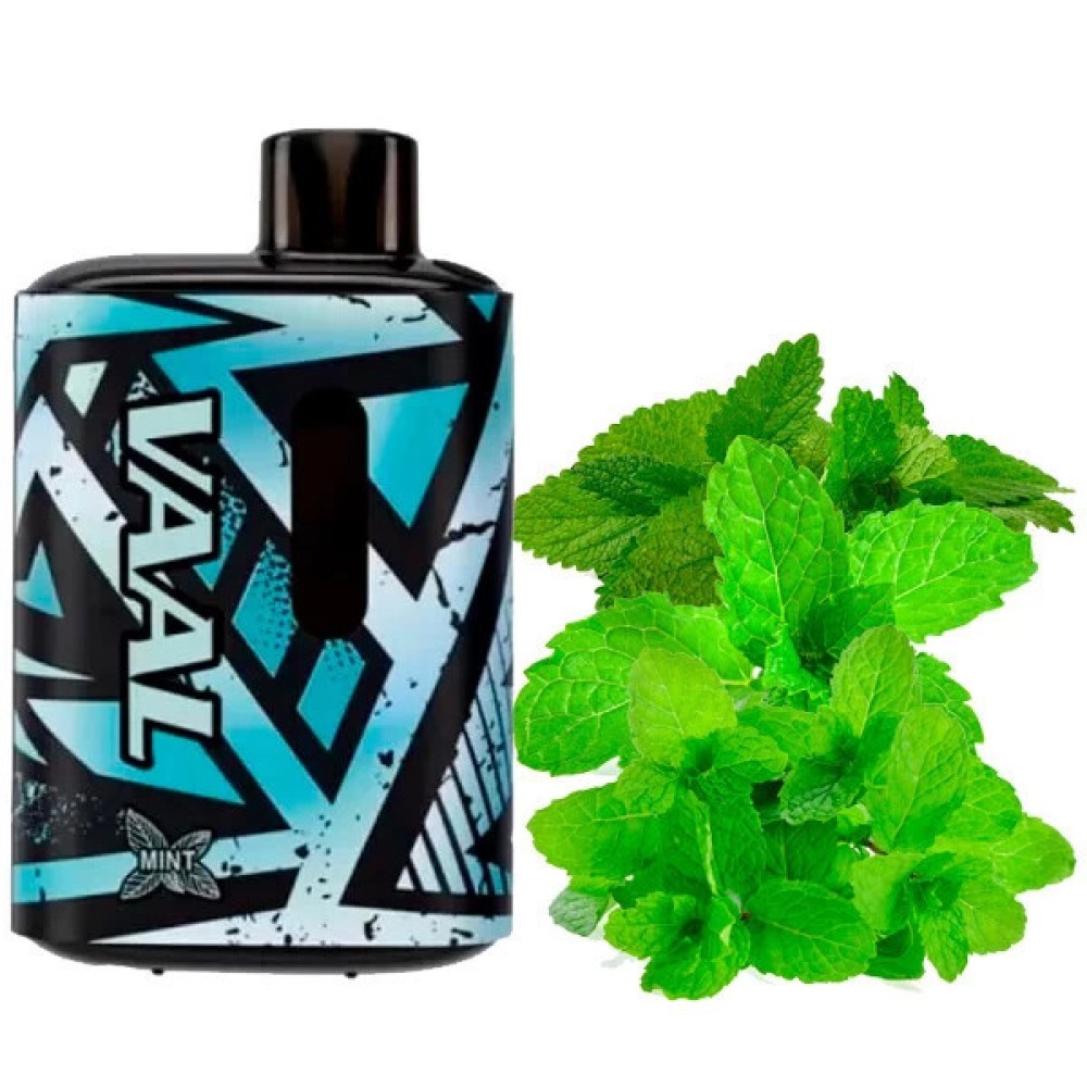 Jednorazowy papieros elektroniczny VAAL Mint (zaciągnięcia E5000)