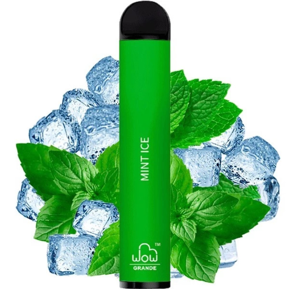 Jednorazowy papieros elektroniczny WOW Grande Mint Ice (Mint Ice) (2500 zaciągnięć)